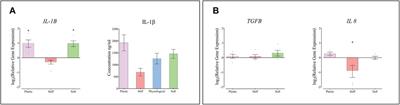 Changes in Physiological Tendon Substrate Stiffness Have Moderate Effects on Tendon-Derived Cell Growth and Immune Cell Activation